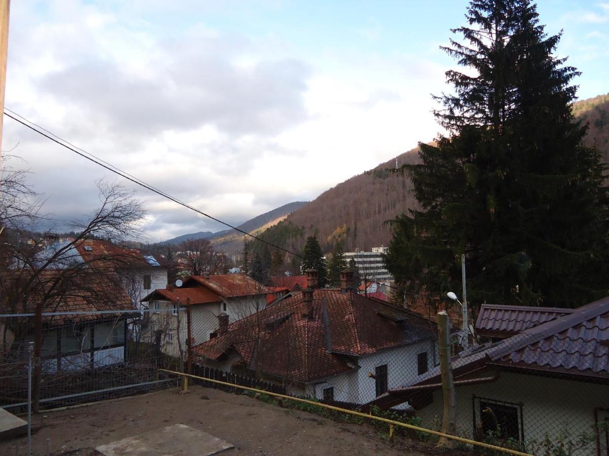 Case de vacanță Casa Serban Sinaia