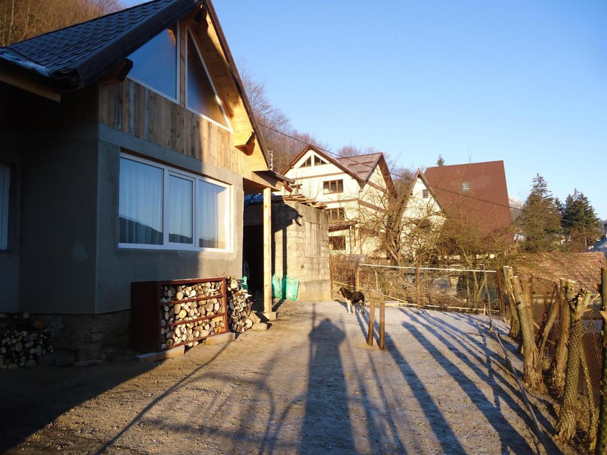 Casa Serban *