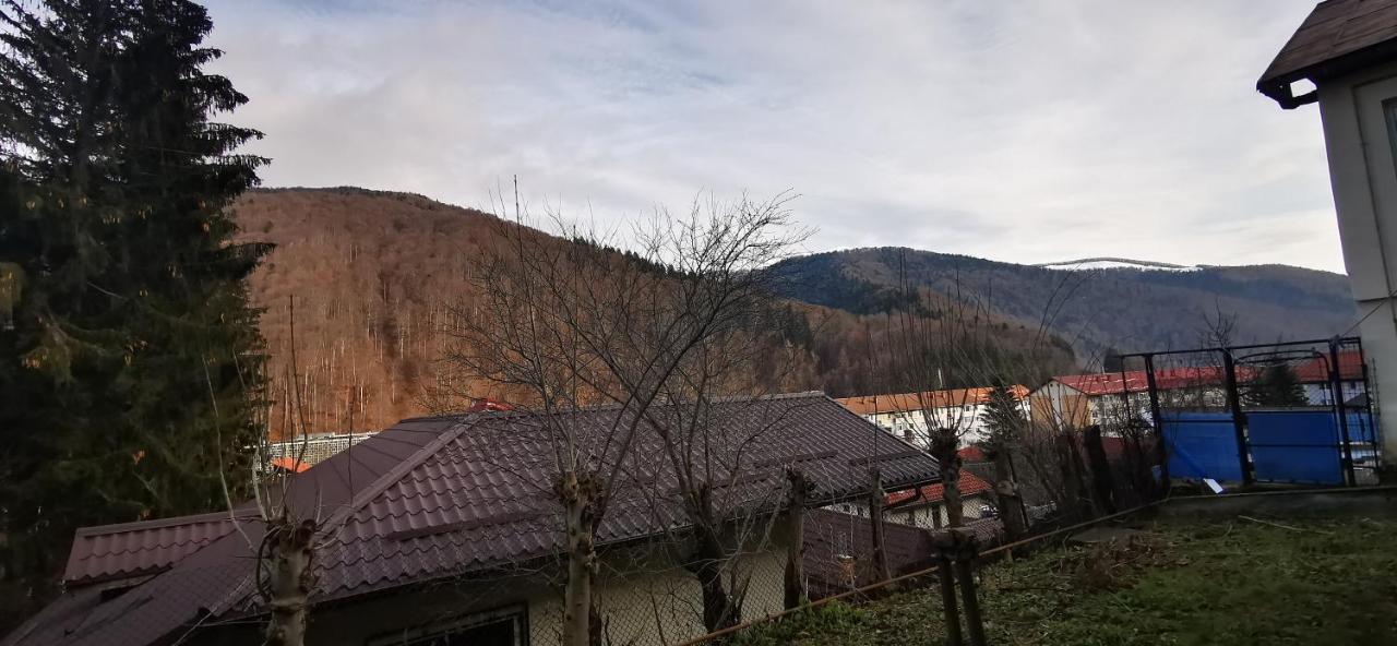 Case de vacanță Casa Serban