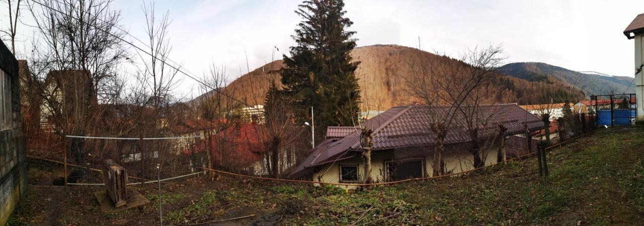 Casa Serban *