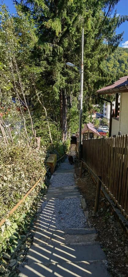 Case de vacanță Casa Serban Sinaia