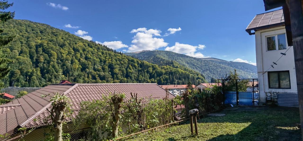 Casa Serban