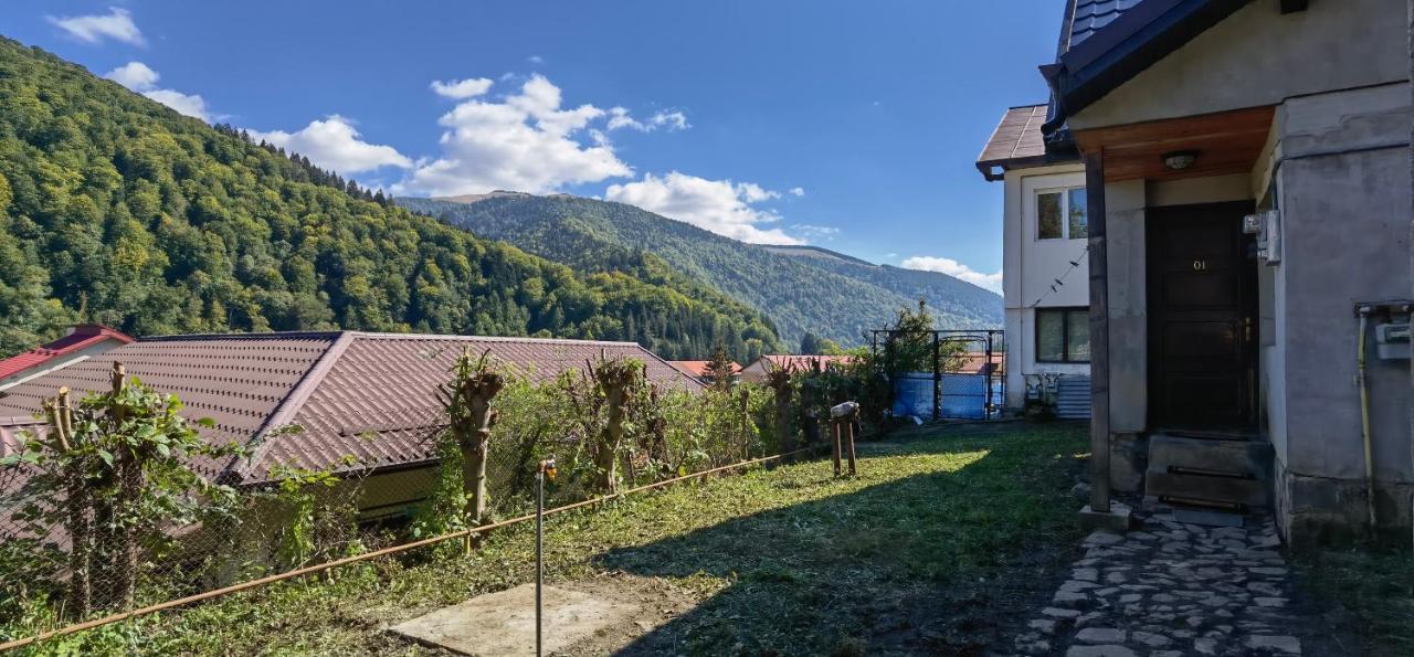 Case de vacanță Casa Serban *