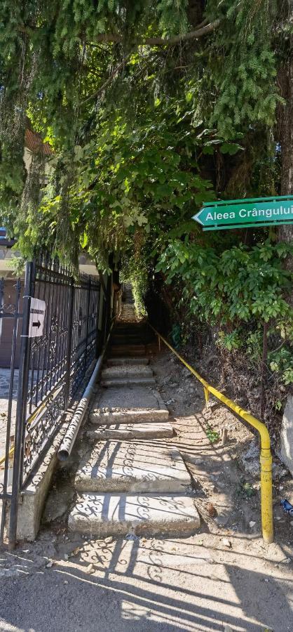 Casa Serban Case de vacanță Sinaia