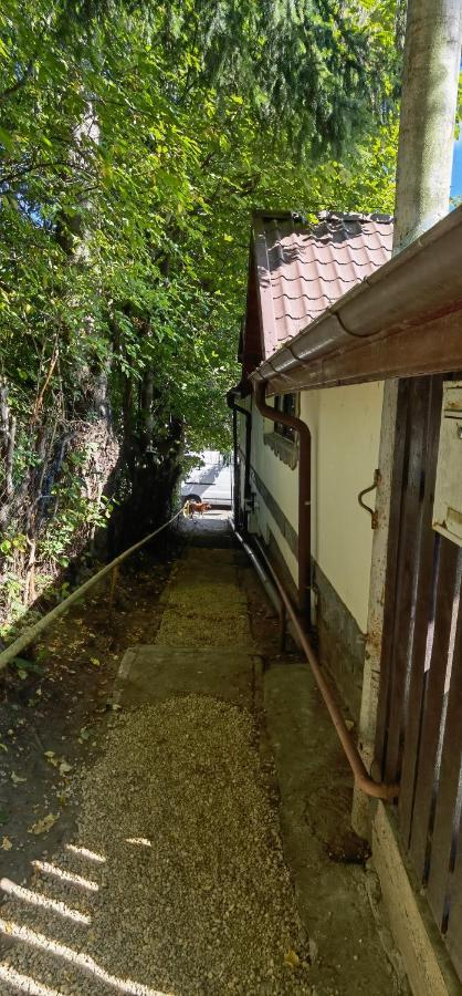 Casa Serban Case de vacanță