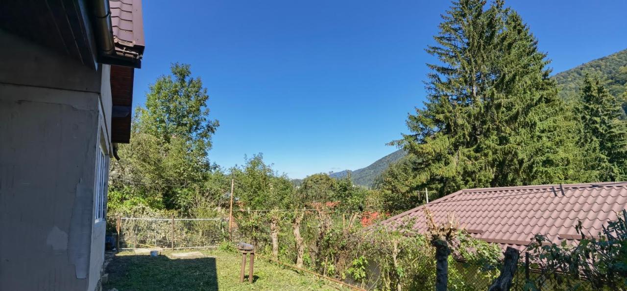 Casa Serban Case de vacanță Sinaia