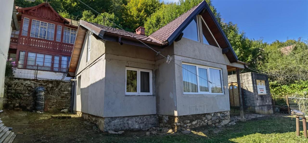 Case de vacanță Casa Serban