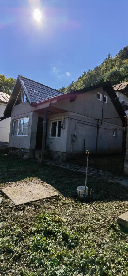Casa Serban Case de vacanță